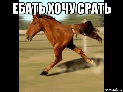 ебать хочу срать 