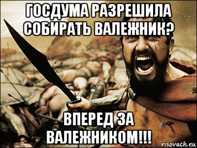 госдума разрешила собирать валежник? вперед за валежником!!!, Мем Это Спарта