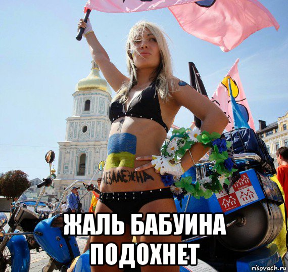  жаль бабуина подохнет