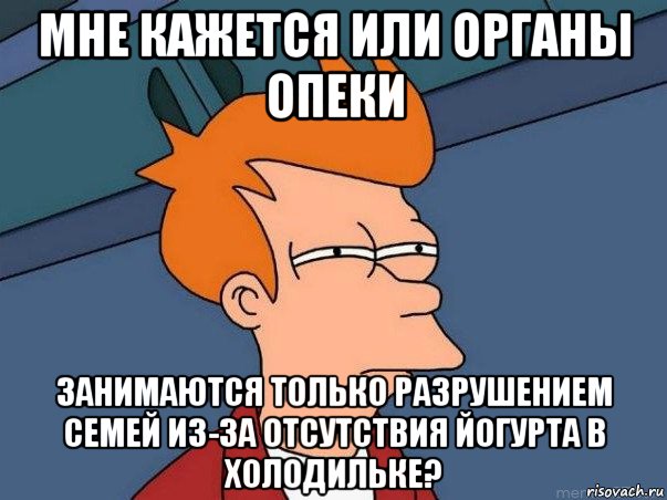 мне кажется или органы опеки занимаются только разрушением семей из-за отсутствия йогурта в холодильке?, Мем  Фрай (мне кажется или)