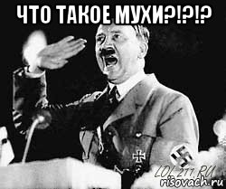 что такое мухи?!?!? , Мем Гитлер