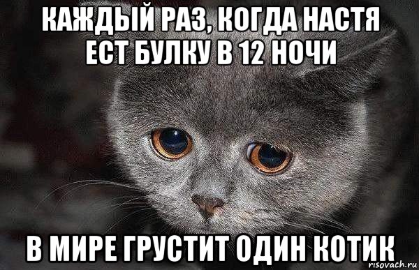 каждый раз, когда настя ест булку в 12 ночи в мире грустит один котик, Мем  Грустный кот