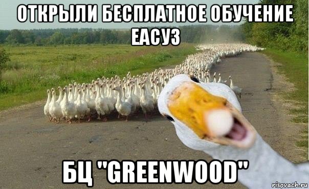 открыли бесплатное обучение еасуз бц "greenwood", Мем гуси