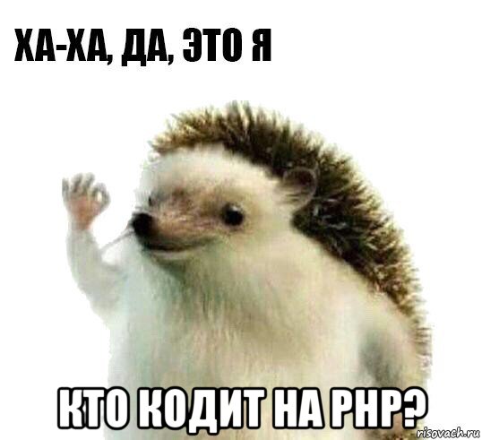  кто кодит на php?, Мем Ха-ха да это я