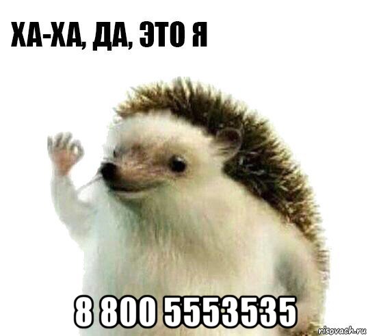  8 800 5553535, Мем Ха-ха да это я