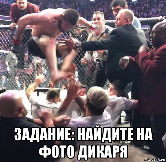  задание: найдите на фото дикаря