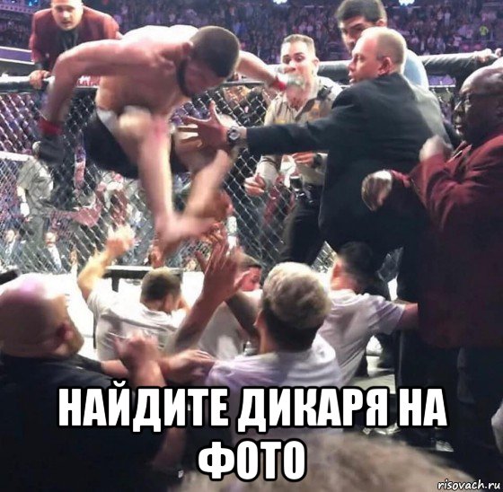  найдите дикаря на фото