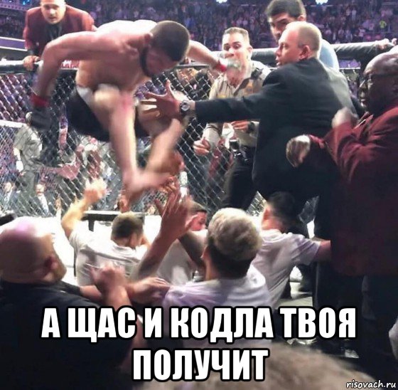  а щас и кодла твоя получит