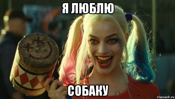 я люблю собаку, Мем    Harley quinn