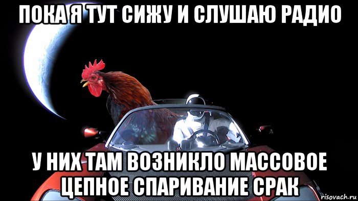 пока я тут сижу и слушаю радио у них там возникло массовое цепное спаривание срак