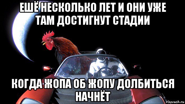 ешё несколько лет и они уже там достигнут стадии когда жопа об жопу долбиться начнёт