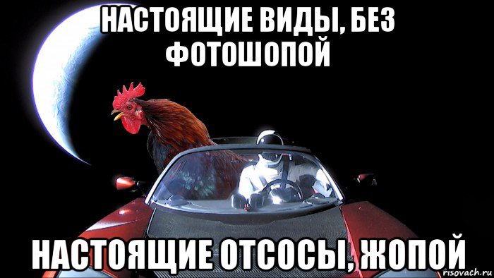 настоящие виды, без фотошопой настоящие отсосы, жопой