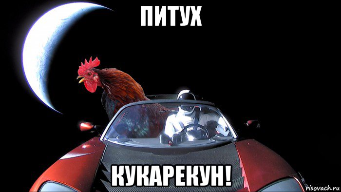 питух кукарекун!