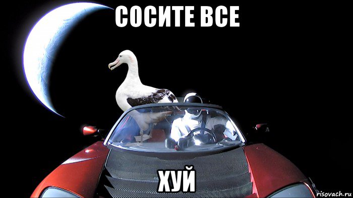 сосите все хуй