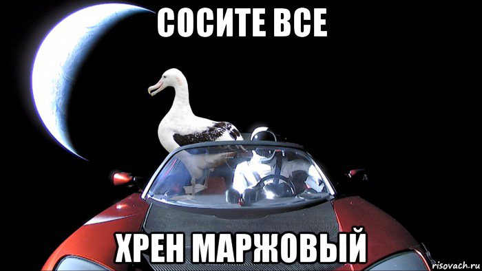 сосите все хрен маржовый