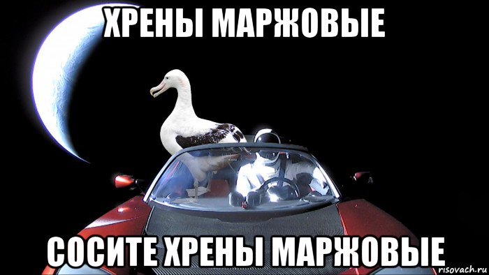 хрены маржовые сосите хрены маржовые