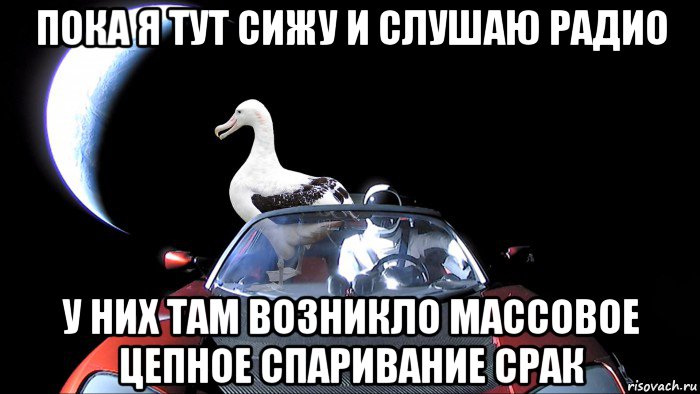 пока я тут сижу и слушаю радио у них там возникло массовое цепное спаривание срак