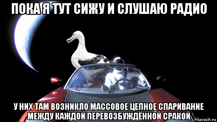 пока я тут сижу и слушаю радио у них там возникло массовое цепное спаривание между каждой перевозбуждённой сракой