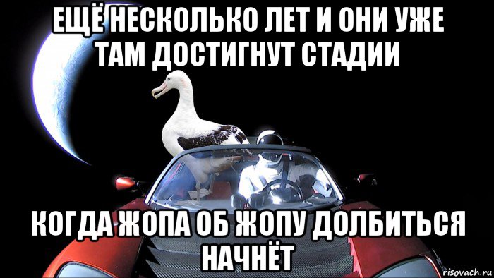 ещё несколько лет и они уже там достигнут стадии когда жопа об жопу долбиться начнёт