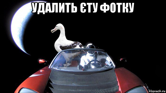 удалить єту фотку 