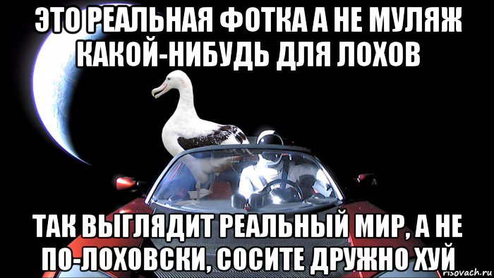 это реальная фотка а не муляж какой-нибудь для лохов так выглядит реальный мир, а не по-лоховски, сосите дружно хуй