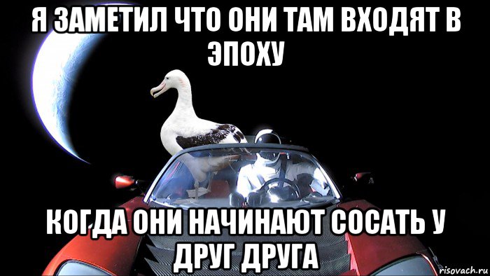 я заметил что они там входят в эпоху когда они начинают сосать у друг друга