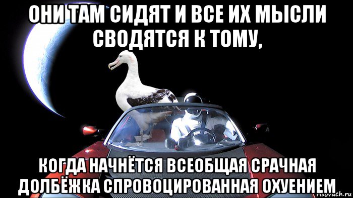 они там сидят и все их мысли сводятся к тому, когда начнётся всеобщая срачная долбёжка спровоцированная охуением