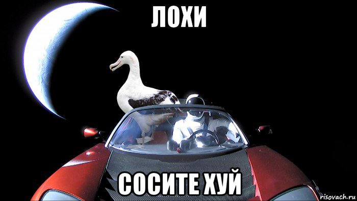 лохи сосите хуй