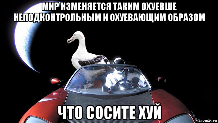 мир изменяется таким охуевше неподконтрольным и охуевающим образом что сосите хуй