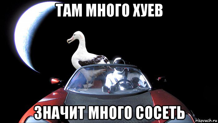 там много хуев значит много сосеть