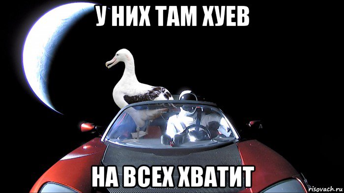 у них там хуев на всех хватит