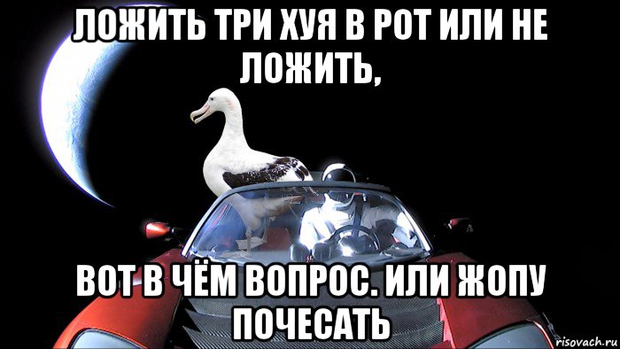 ложить три хуя в рот или не ложить, вот в чём вопрос. или жопу почесать