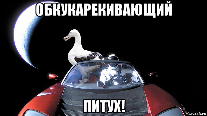 обкукарекивающий питух!