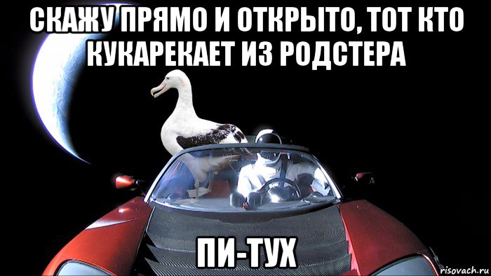 скажу прямо и открыто, тот кто кукарекает из родстера пи-тух