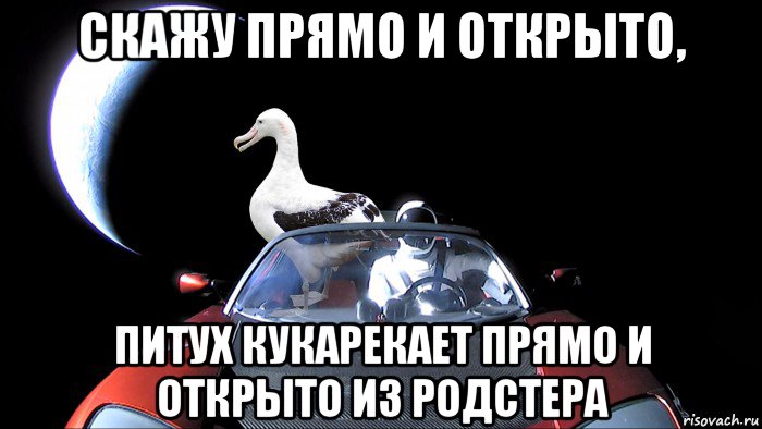 скажу прямо и открыто, питух кукарекает прямо и открыто из родстера