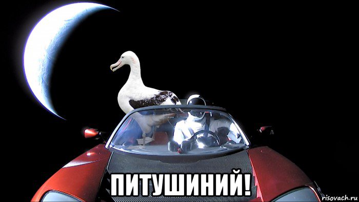  питушиний!