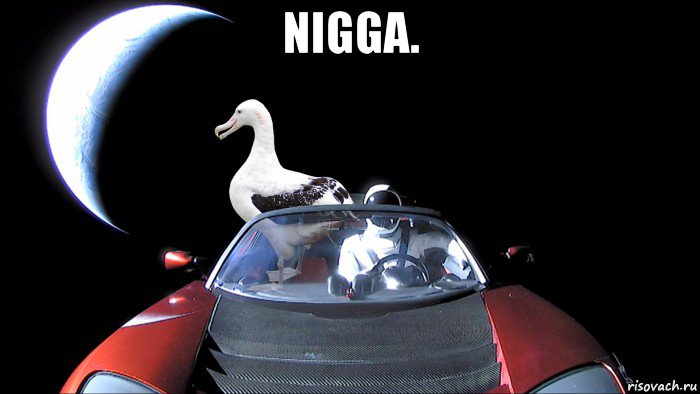 nigga. 