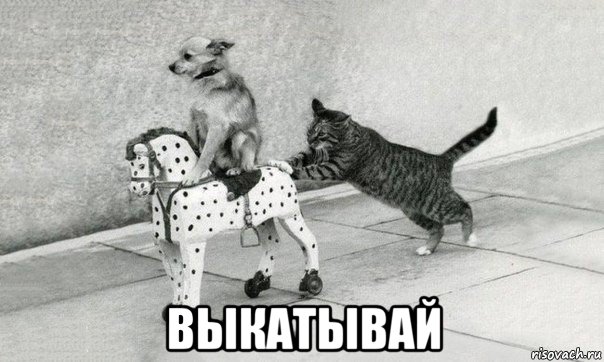  выкатывай