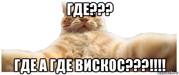 где??? где а где вискоc???!!!!, Мем   Кэтсвилл