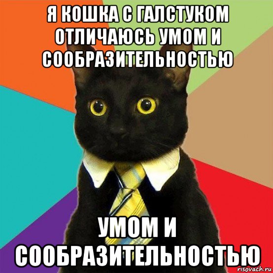 я кошка с галстуком отличаюсь умом и сообразительностью умом и сообразительностью, Мем  Кошечка