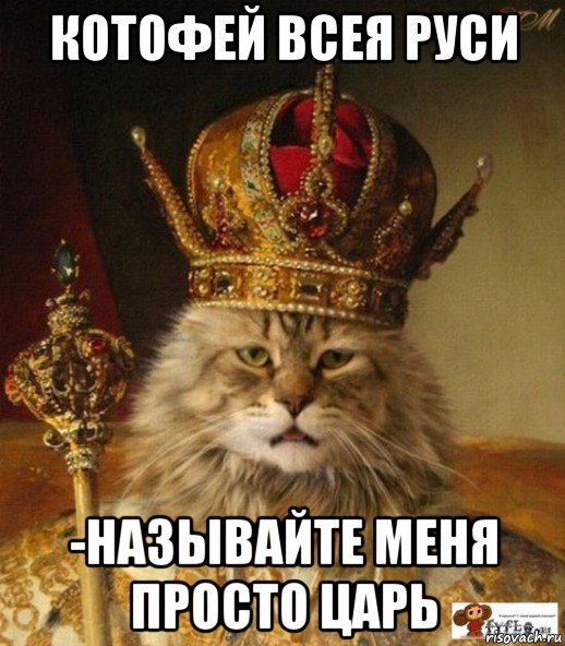 котофей всея руси -называйте меня просто царь