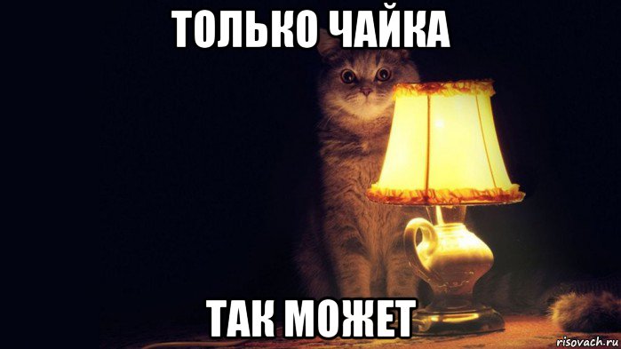 только чайка так может