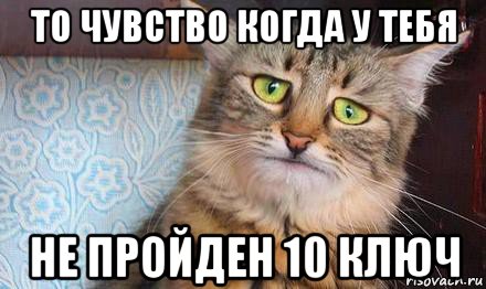 то чувство когда у тебя не пройден 10 ключ, Мем  кот печаль