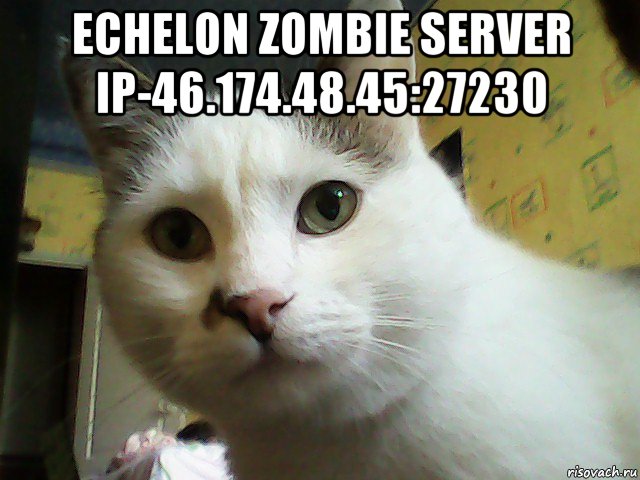 echelon zombie server ip-46.174.48.45:27230 