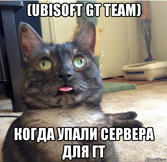 (ubisoft gt team) когда упали сервера для гт, Мем   Кот завис