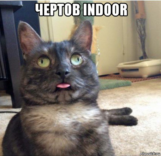 чертов indoor , Мем   Кот завис