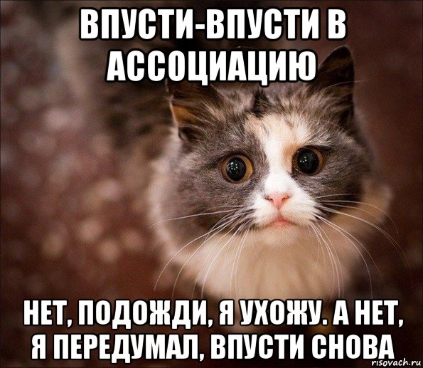 впусти-впусти в ассоциацию нет, подожди, я ухожу. а нет, я передумал, впусти снова, Мем Котик