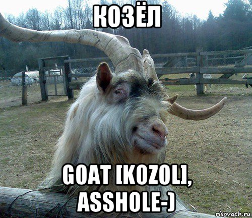 козёл goat [kozol], asshole-), Мем козел
