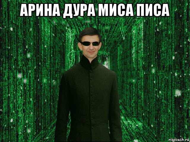 арина дура миса писа 