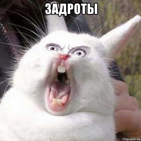 задроты 